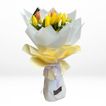 imageUrl_2
