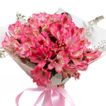 imageUrl_2