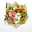 imageUrl_2