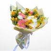 imageUrl_3