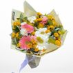 imageUrl_1