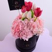 imageUrl_2