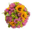 imageUrl_2