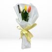imageUrl_2
