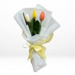 imageUrl_3