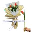 imageUrl_1