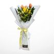 imageUrl_1