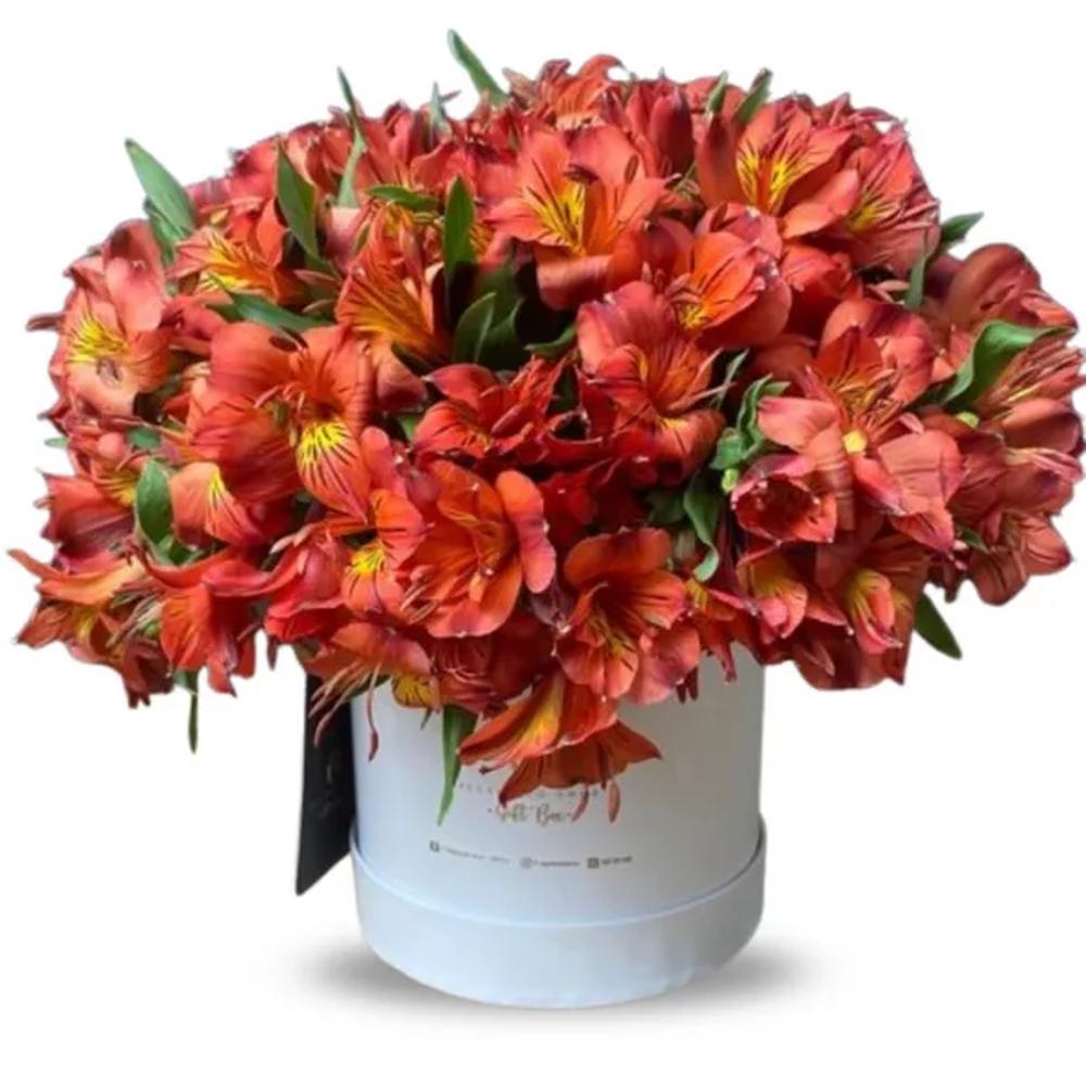 Box Floral Astromelias Rojas - Ramo de Flores