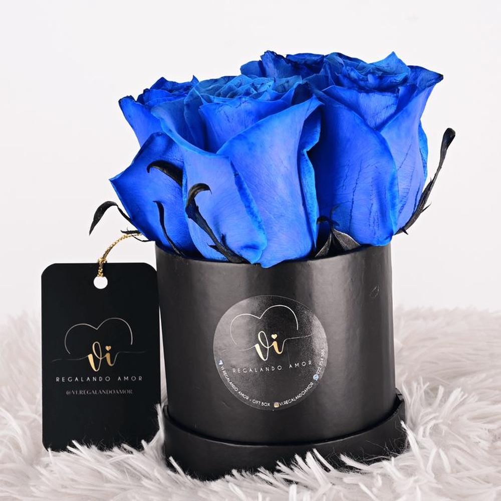 Mini box de rosas azules - Arreglo Floral