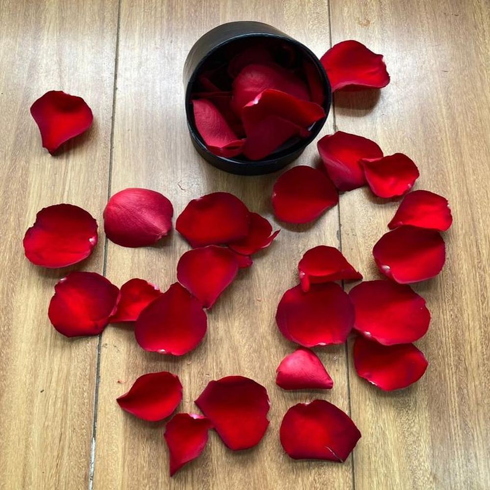 Box Pequeño de Petalos - Box Floral