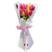 imageUrl_2