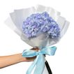 imageUrl_3