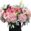 imageUrl_2
