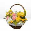 imageUrl_3