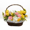 imageUrl_1