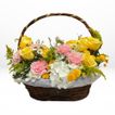 imageUrl_2