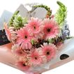 imageUrl_2