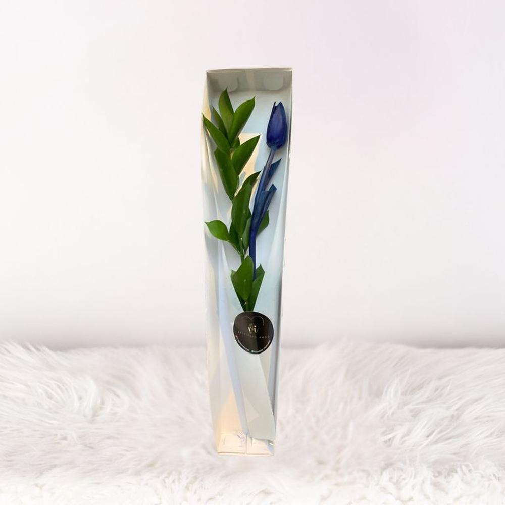 Caja de 1 Tulipán Azul - Flores azules - Arreglo floral