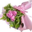 imageUrl_2