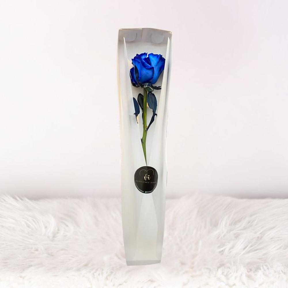 caja de 1 rosa azul - Flores azul - Box floral
