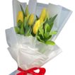 imageUrl_3