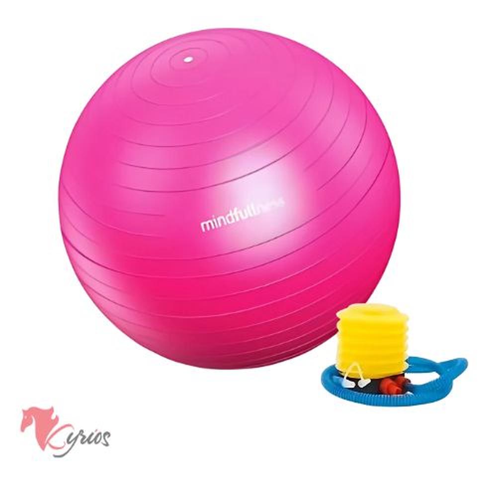 Pelota De Yoga 65 CM Color Rosado Standard Rosa Pelota De Yoga 65 CM Color Rosado Standard Rosa