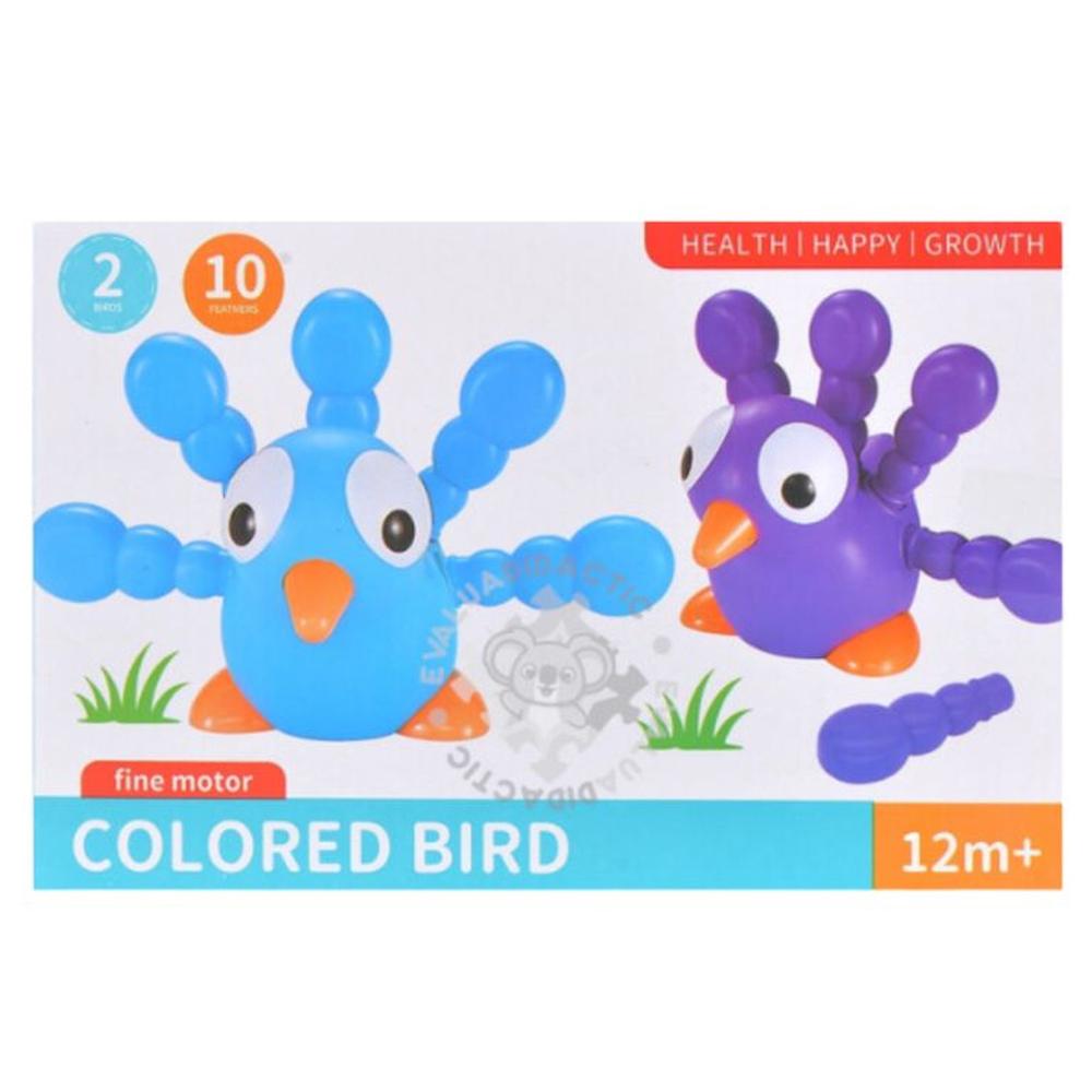 Pollito didáctico - juguete infantil