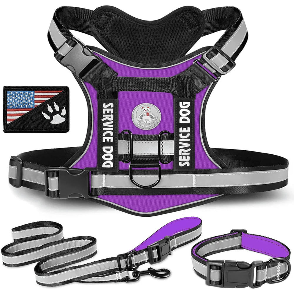 Pechera Táctica Reforzada de Color Morado/Negro Talla Xl Pechera Táctica Reforzada de Color Morado/Negro Talla Xl