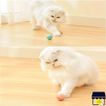 imageUrl_5