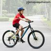 imageUrl_4