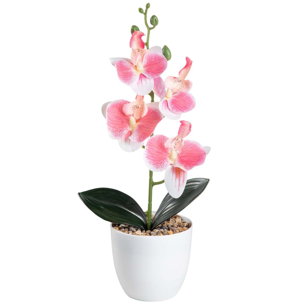 Orquídea DECO HOME Surtida Jardin Encantado (Modelos Aleatorios)