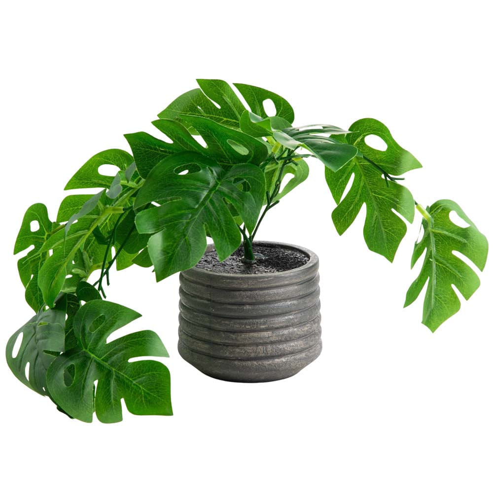 Maceta DECO HOME C/Planta