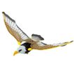 imageUrl_6