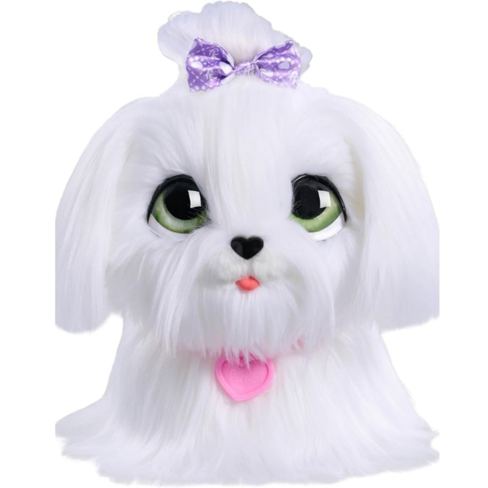 imageUrl_1 imageUrl_1