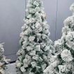 imageUrl_1