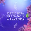 image-63cd907cc88e4dea9edaa7981381a0d6