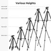 imageUrl_7