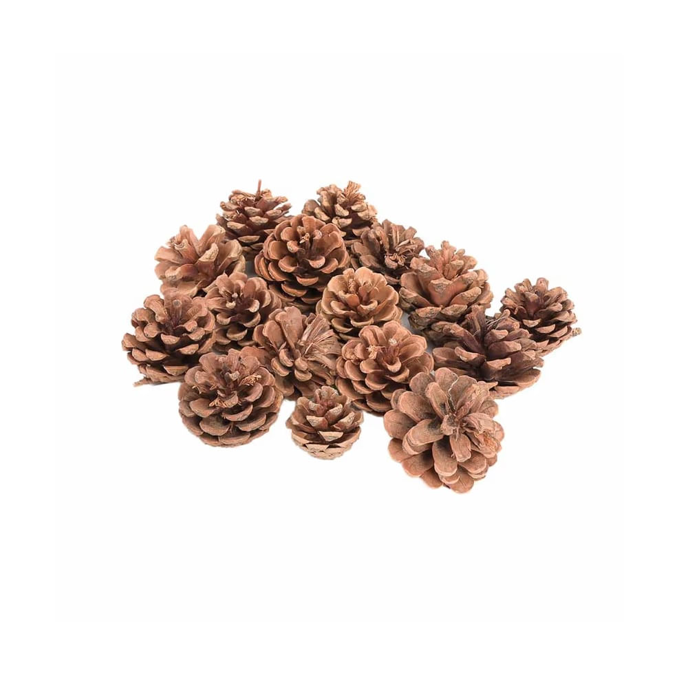 NAVIDAD - Piñas navideñas artificial Gr set 160 modelo N12