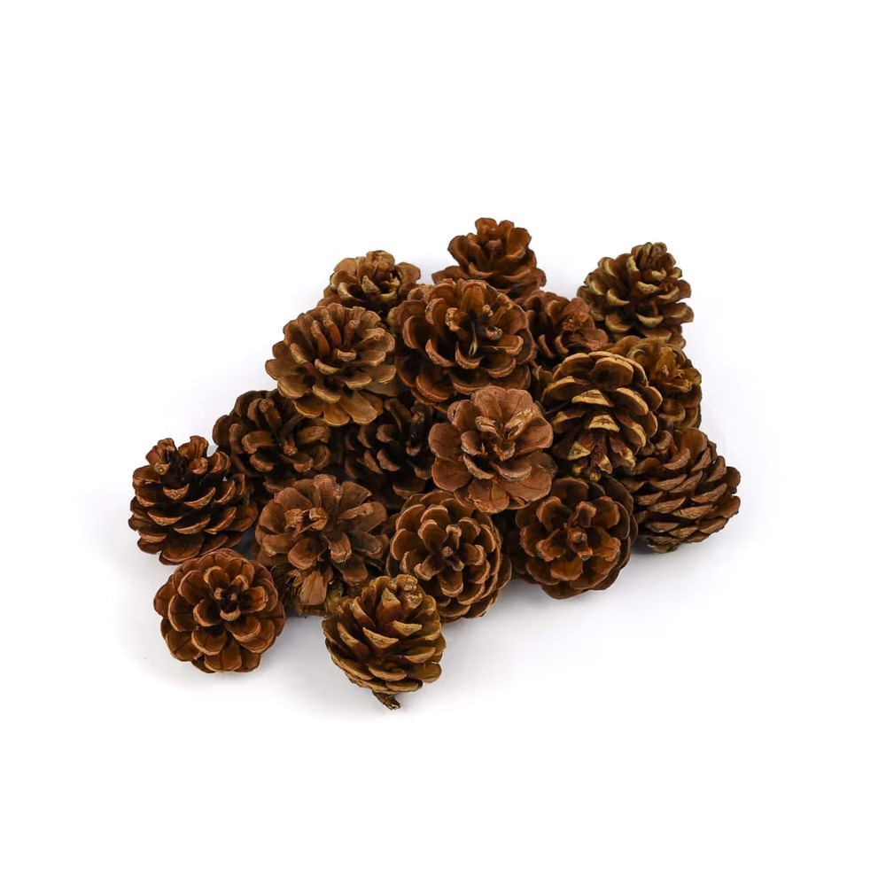 NAVIDAD - Piñas navideñas set 24pzs de 5cm tono natural modelo N3