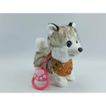 imageUrl_6