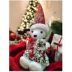 imageUrl_2
