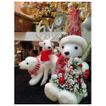 imageUrl_1