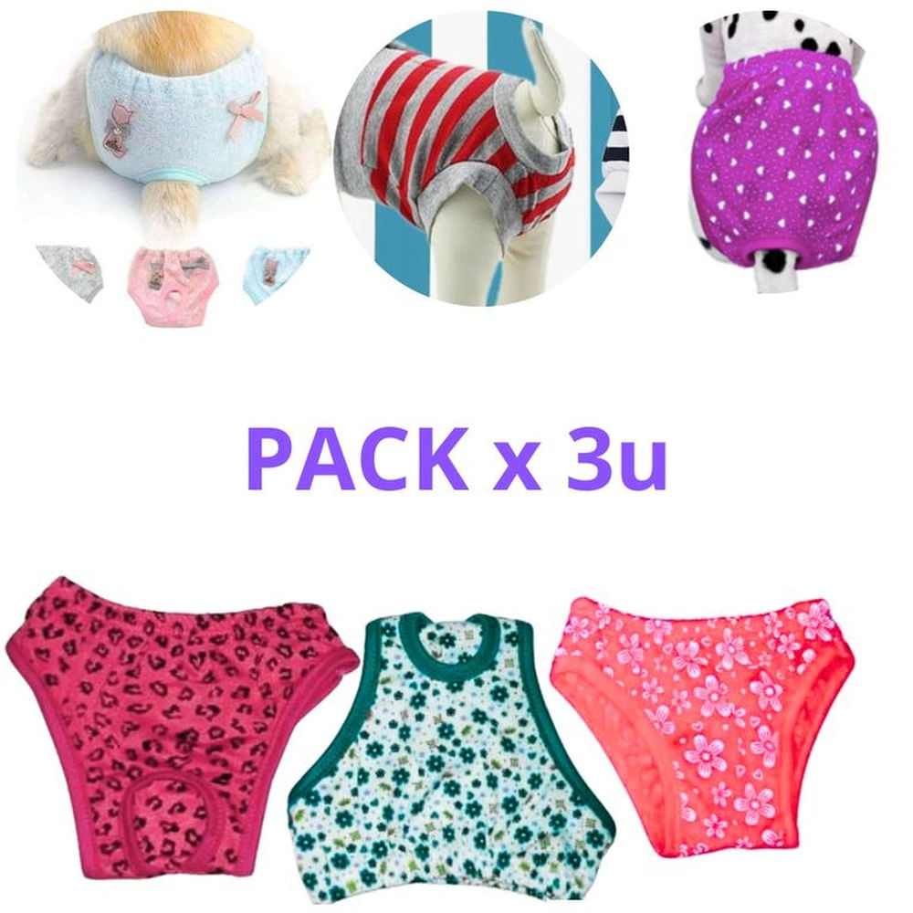 CALZON DE ALGODÓN PARA PERROS Y GATOS - MASCOTA PACKx3 T-4