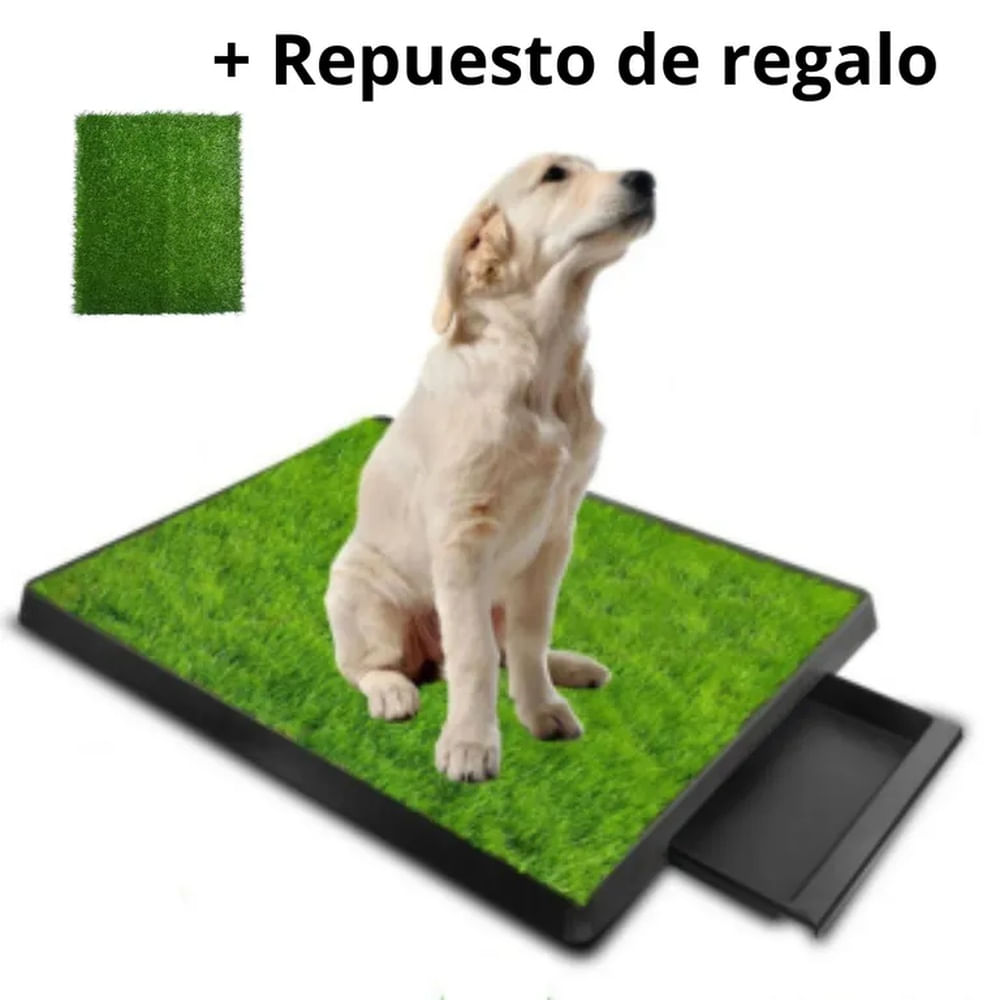 BAÑO PORTATIL ECOLOGICO GRANDE - INCLUYE REPUESTO BLANCO VERDE AZUL BAÑO PORTATIL ECOLOGICO GRANDE - INCLUYE REPUESTO BLANCO VERDE AZUL