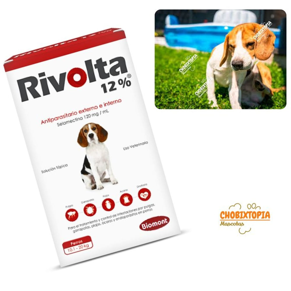 RIVOLTA 12% PERROS 10.1 A 20KG - ROJO ROJO RIVOLTA 12% PERROS 10.1 A 20KG - ROJO ROJO