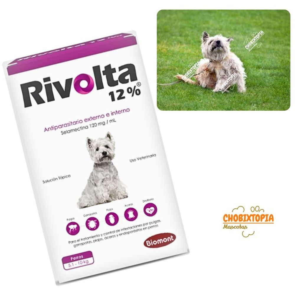 RIVOLTA 12% PERROS 5.1 A 10KG - VIOLETA VIOLETA RIVOLTA 12% PERROS 5.1 A 10KG - VIOLETA VIOLETA