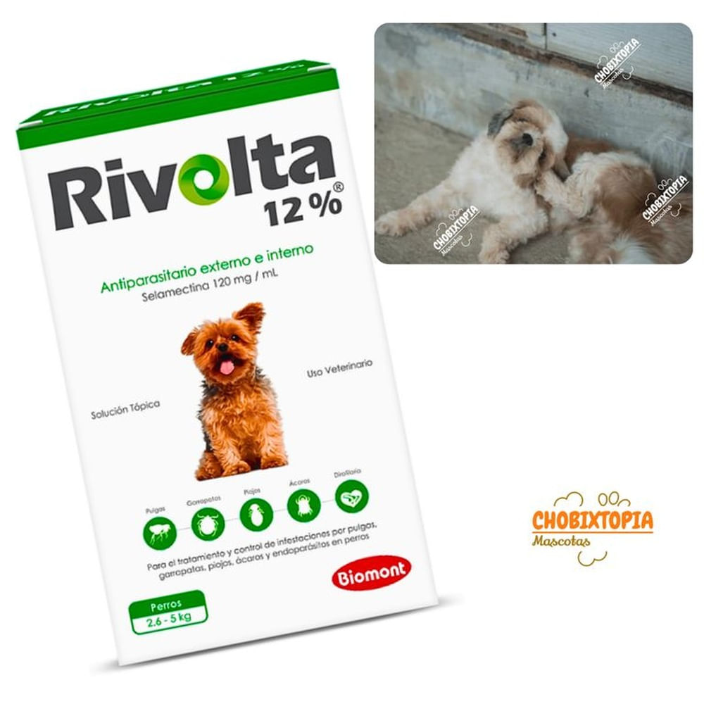RIVOLTA 12% PERROS 2.6 A 5KG - VERDE VERDE RIVOLTA 12% PERROS 2.6 A 5KG - VERDE VERDE