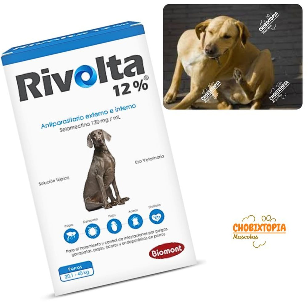 RIVOLTA 12% PERROS 20.1 A 40KG - CELESTE CELESTE RIVOLTA 12% PERROS 20.1 A 40KG - CELESTE CELESTE
