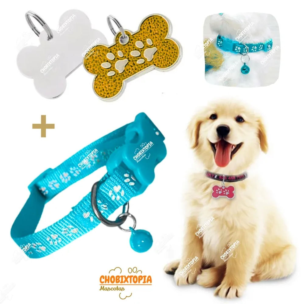 PLACA Y COLLAR P-MASCOTAS C-CASCABEL - DORADO y CELESTE PLACA DORADA y COLLAR CELESTE PLACA Y COLLAR P-MASCOTAS C-CASCABEL - DORADO y CELESTE PLACA DORADA y COLLAR CELESTE