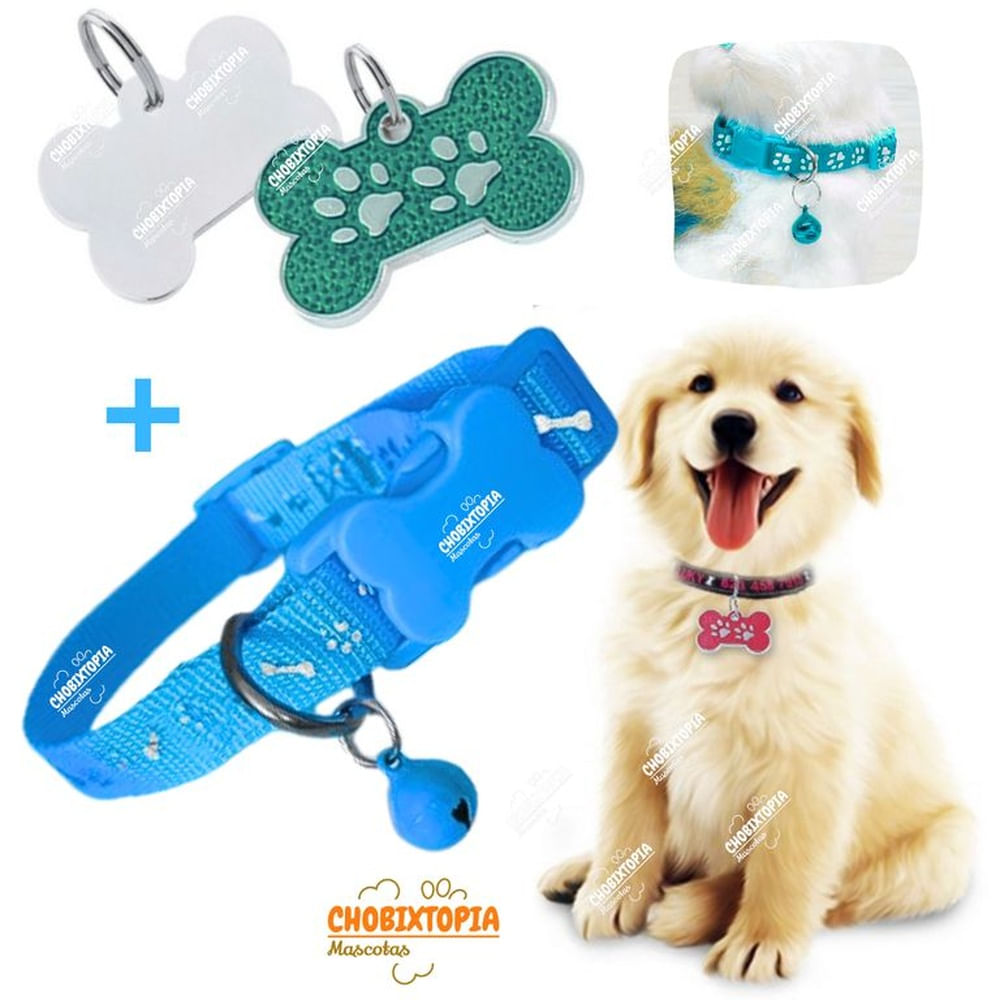 PLACA Y COLLAR PARA MASCOTAS CON CASCABEL - VERDE y CELESTE PLACA VERDE y COLLAR CELESTE INTENSO PLACA Y COLLAR PARA MASCOTAS CON CASCABEL - VERDE y CELESTE PLACA VERDE y COLLAR CELESTE INTENSO
